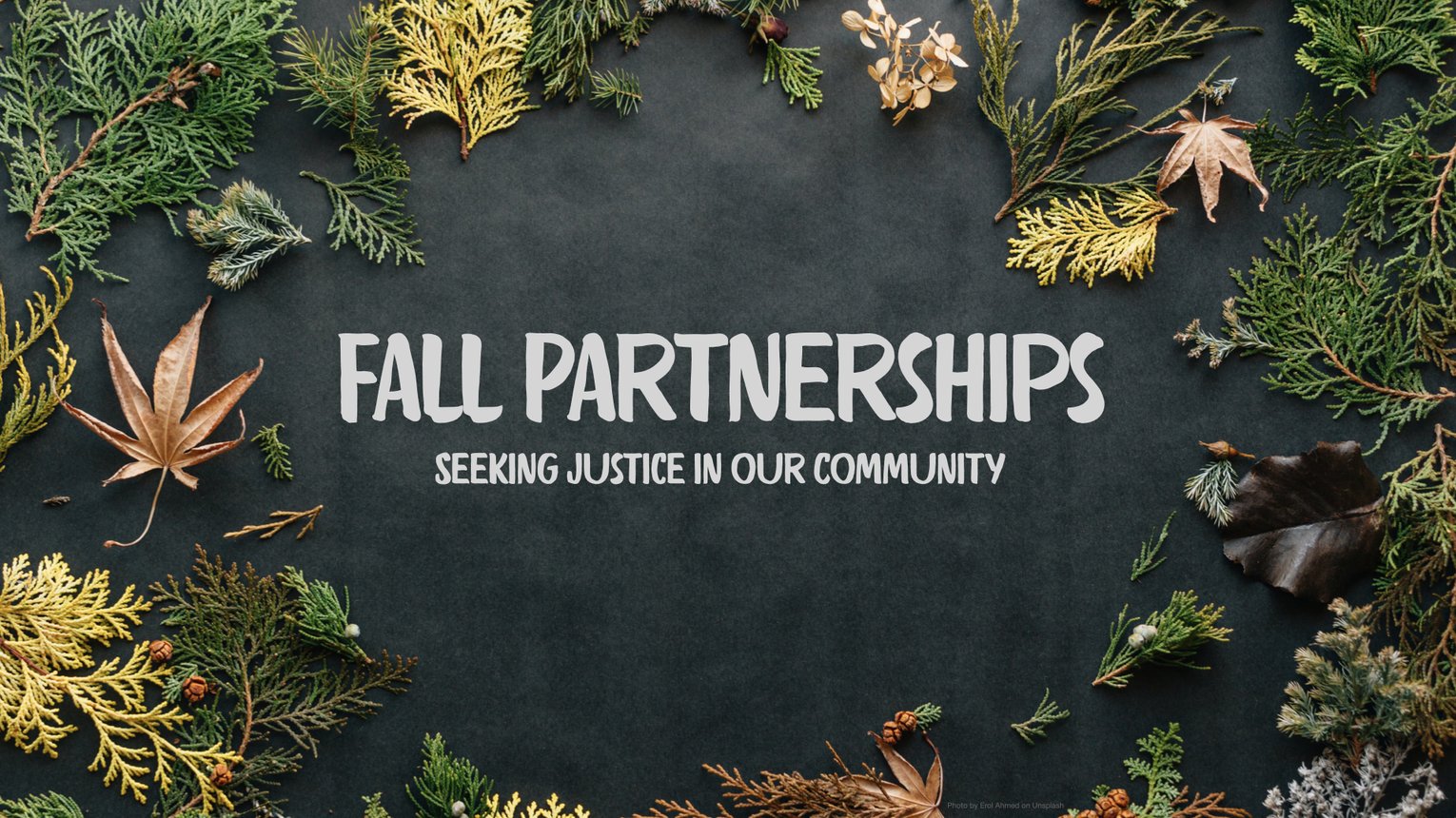 Fall Partnerships.jpeg