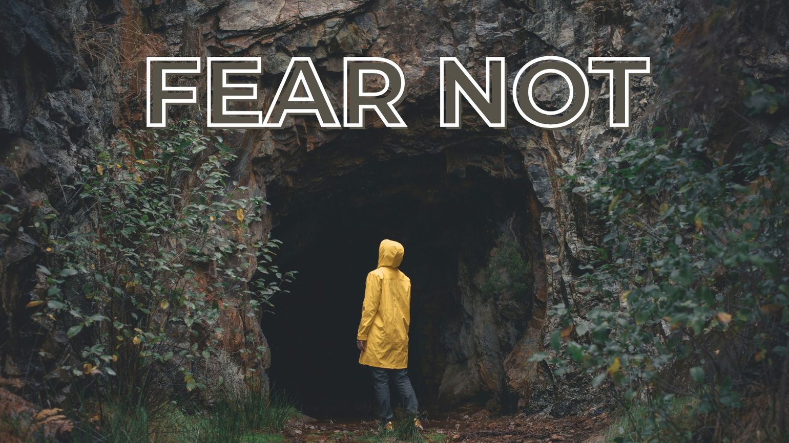 Fear Not