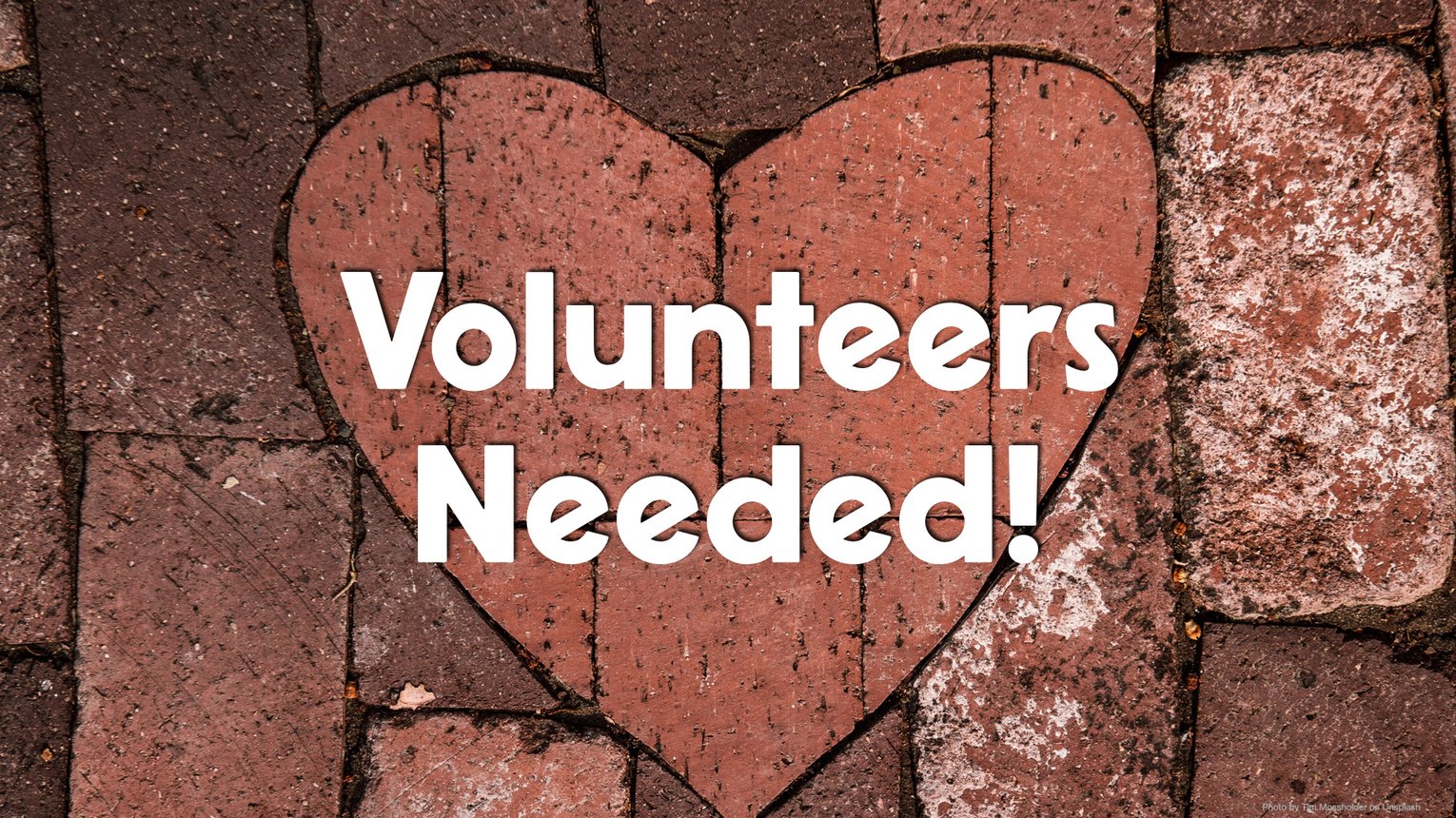 volunteers needed -  website.jpg